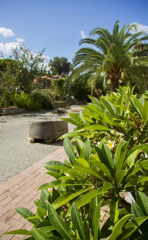 Lycasti Maisonettes Tavronitis Dış mekan fotoğraf